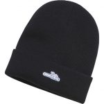 Stihl Icon Beanie